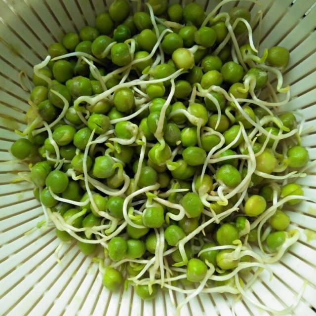 嘎牙鱼做法：探索这道美味佳肴的独特魅力