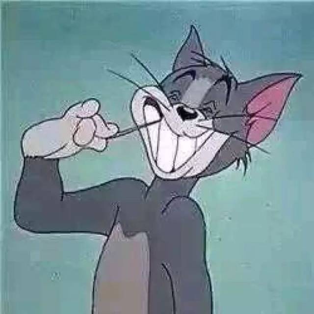 可爱的猫咪免费领养：开启温馨的宠物相伴之旅